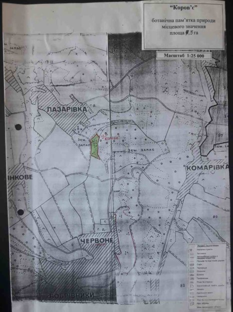 0-02-05-2dd4200e452e6b0ca19c0de1bd0100411a32669efddb3b50a775600fbf63fb14_full