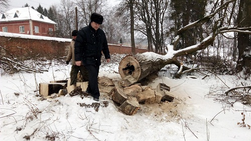 Законність зрізки дерев у Раївському парку дослідужватимуть журналісти Номер один