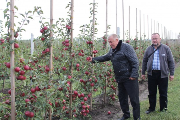 ^15DC5EC3DAD20EB9A1143DA417798E842688DF3AF3BACEBE38^pimgpsh_fullsize_distr