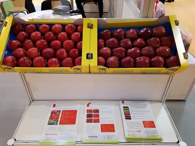 21370951_149014562365839_4216183831680065269_n