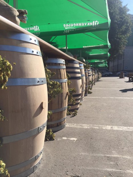 22154496_1474835945903745_8085865475206548069_n