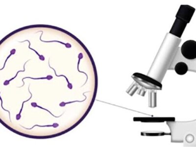 ЕКЗ у Києві