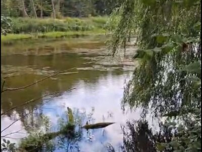 вода
