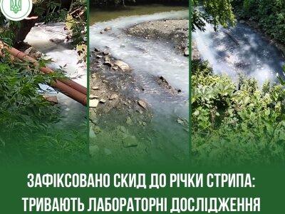 Стрипа