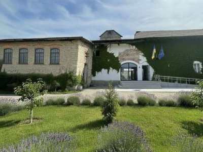 козівський замок