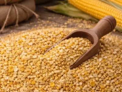 кормова кукурудза