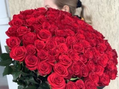 троянди червоні