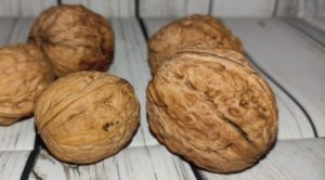 Усе про вирощування волоського горіха: сорти саджанців та поради для посадки та вирощування - Твій горіх