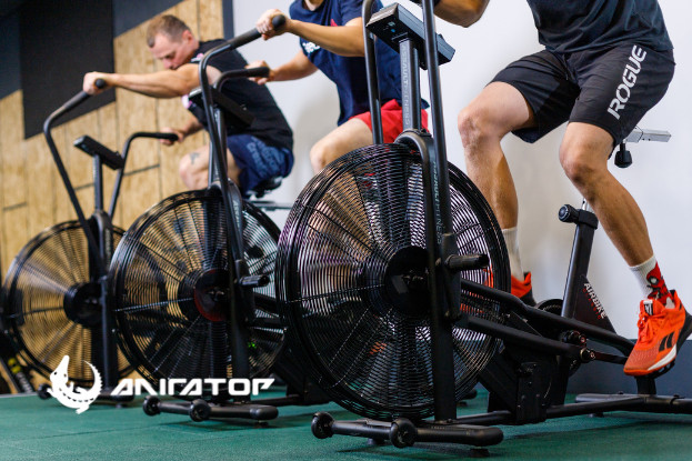 Алігатор Тернопіль