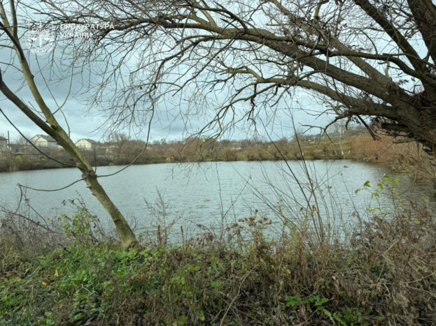 На Борщівщині вимагають повернути громаді ставок площею понад 2 га