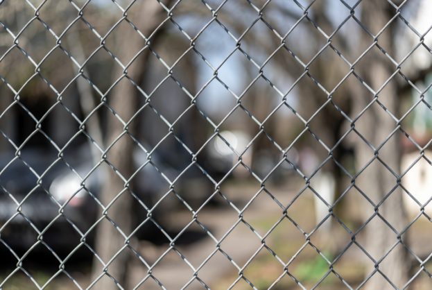 сітка рабиця оцинкована