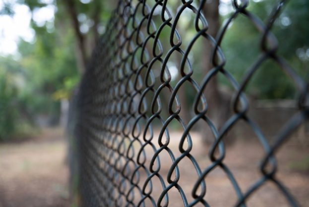 сітка рабиця ціна