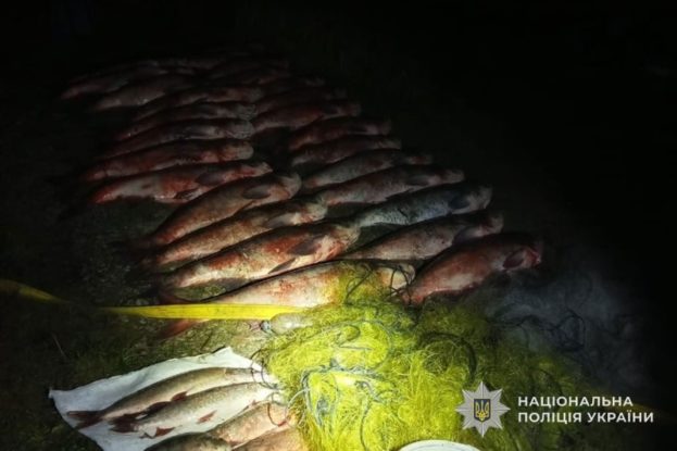 Тернополянин незаконно виловив близько 250 кілограмів риби