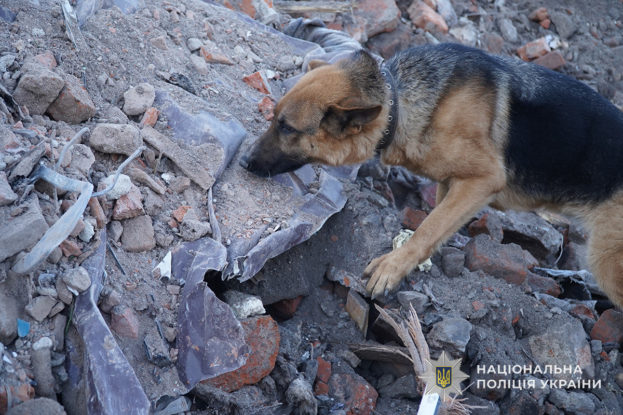 У Тернополі триває пошук безвісти зниклих: поліція, криміналісти та кінологи працюють серед сотень тонн завалів