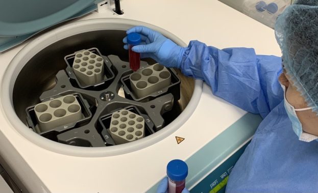 терапія стовбуровими клітинами