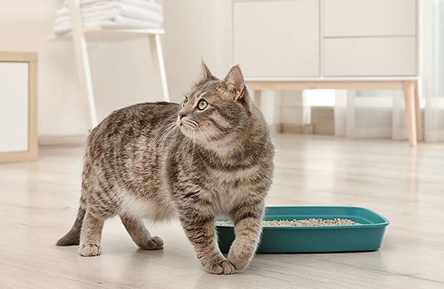 наповнювач