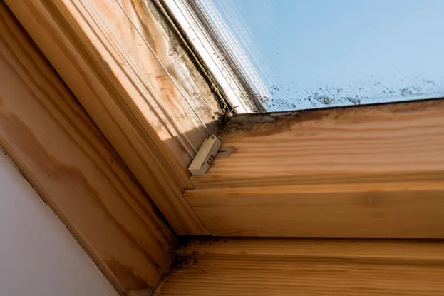 протікання мансардного вікна