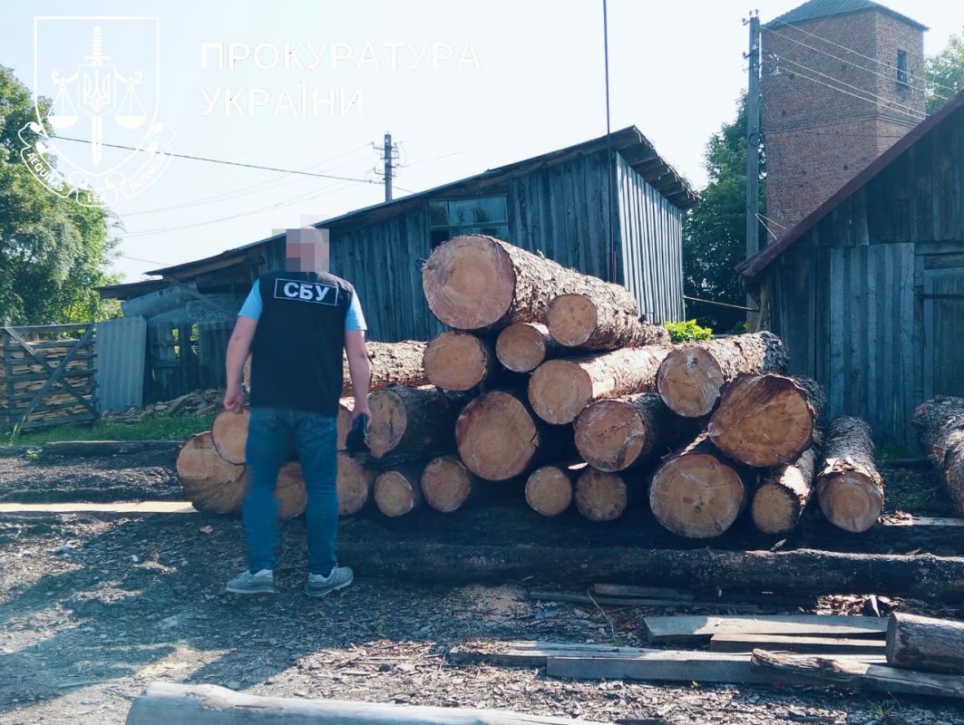 Незаконно зрубано 694 дерева: недогледіли вишнівецькі лісники