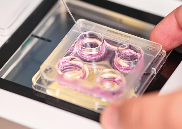 ЕКЗ у Києві 