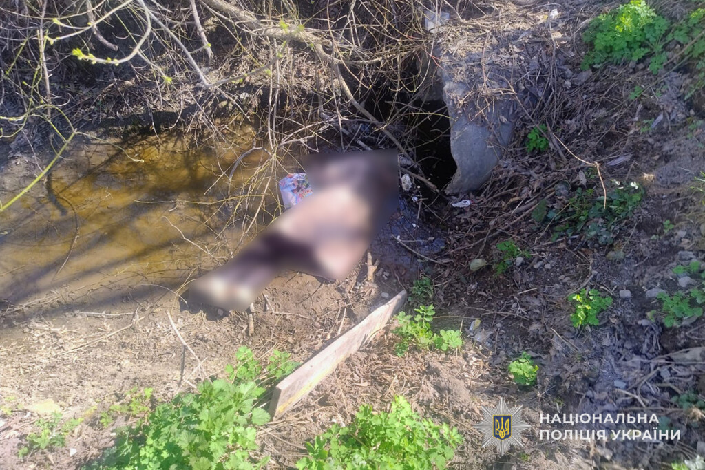 Трагедія біля Тернополя: впала у водостічний канал та захлиснулася літня жінка