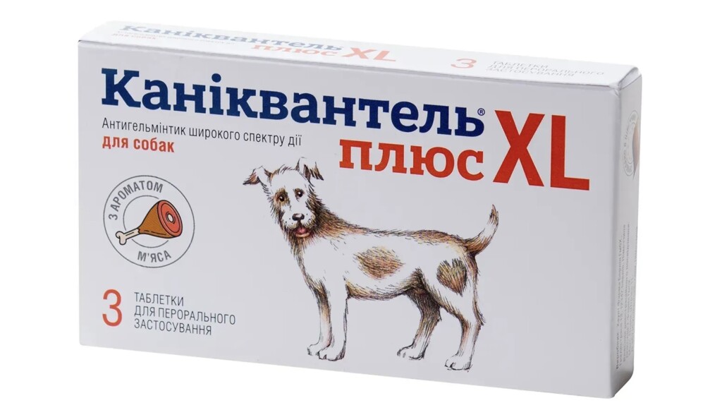 профілактика глистів у собак