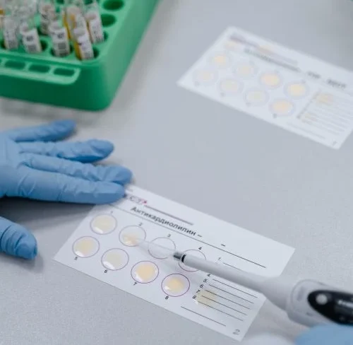 Simeynalab