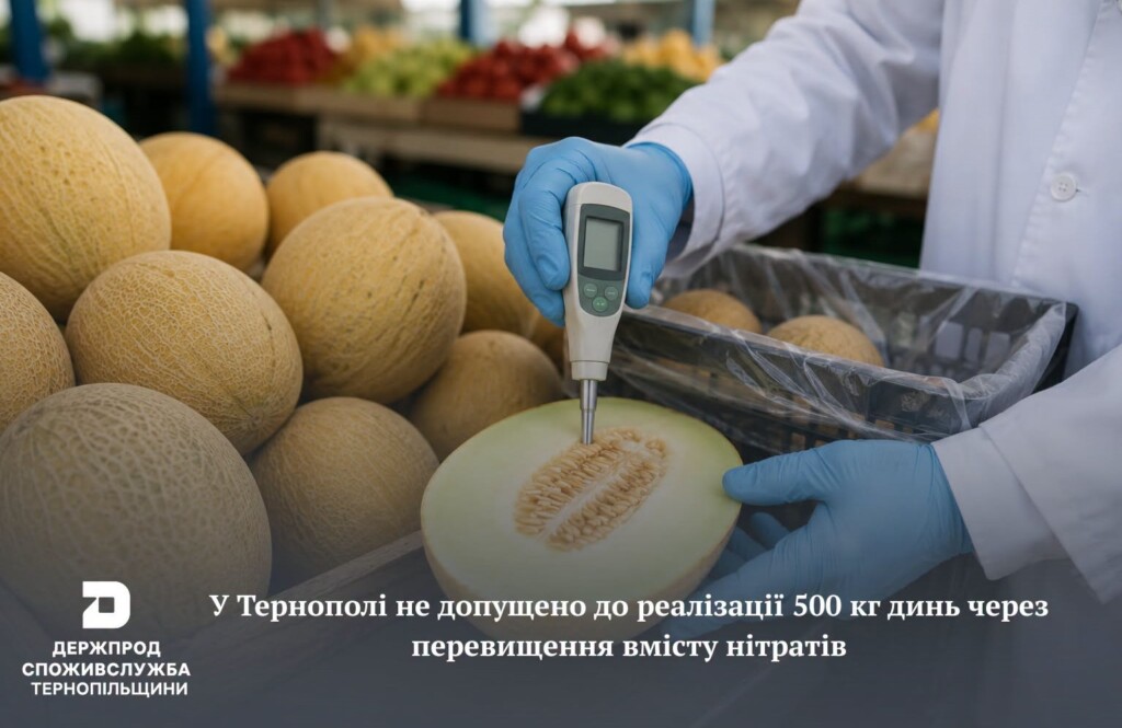Диня