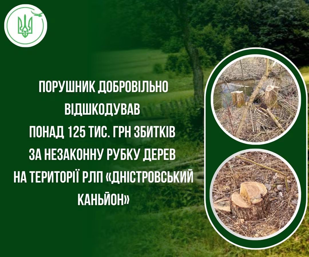 Понад 125 тис грн збитків порушник з Бучаччини відшкодував за незаконну рубку дерев