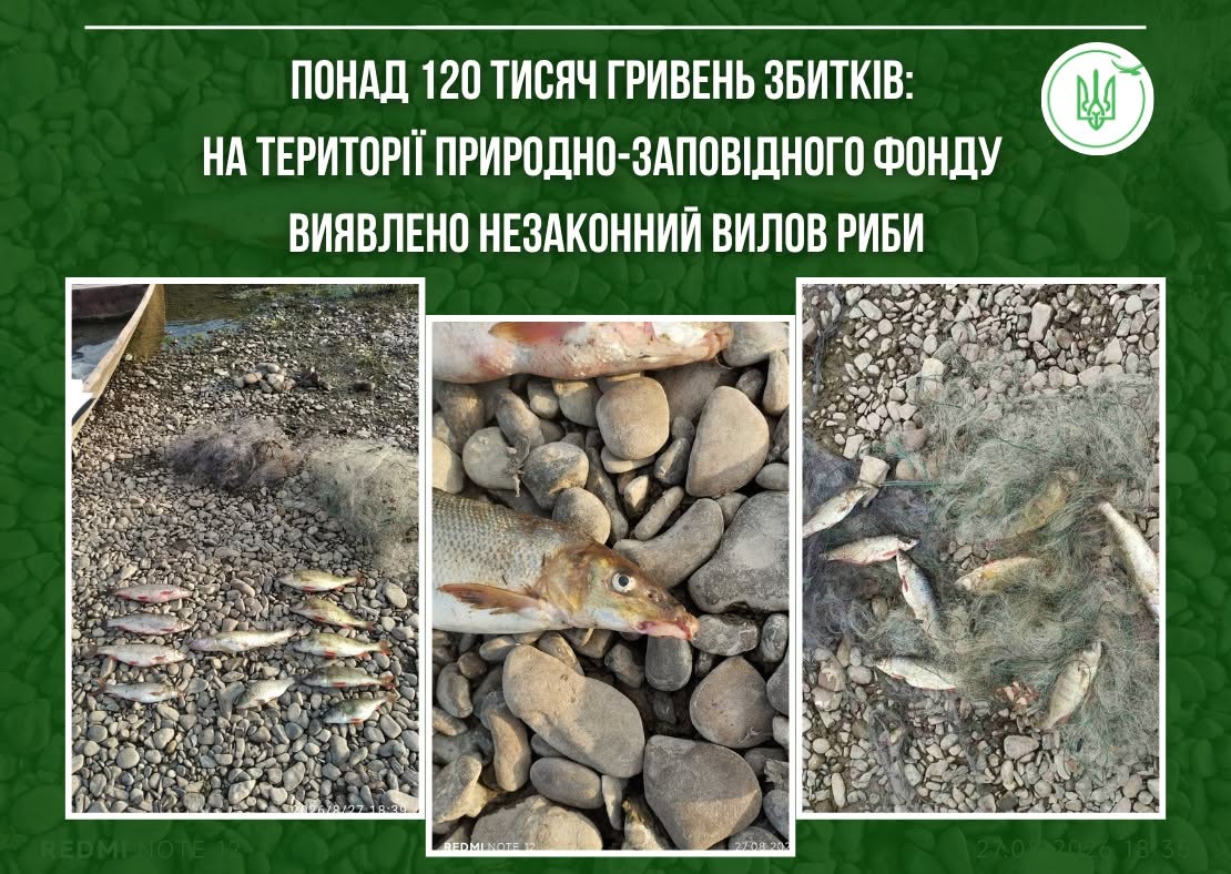 У Тернопільській області виявили незаконні знаряддя лову: збитки перевищили 120 тисяч гривень