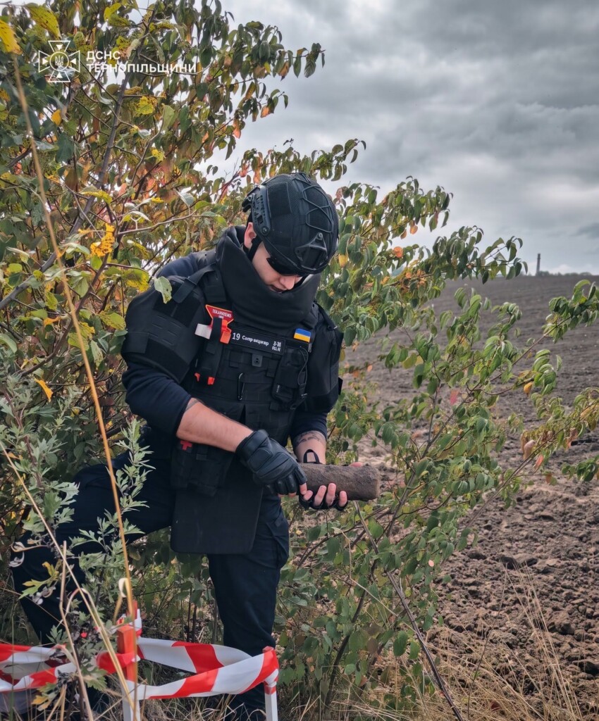 У посадці поблизу Бережан виявили вибухонебезпечний предмет